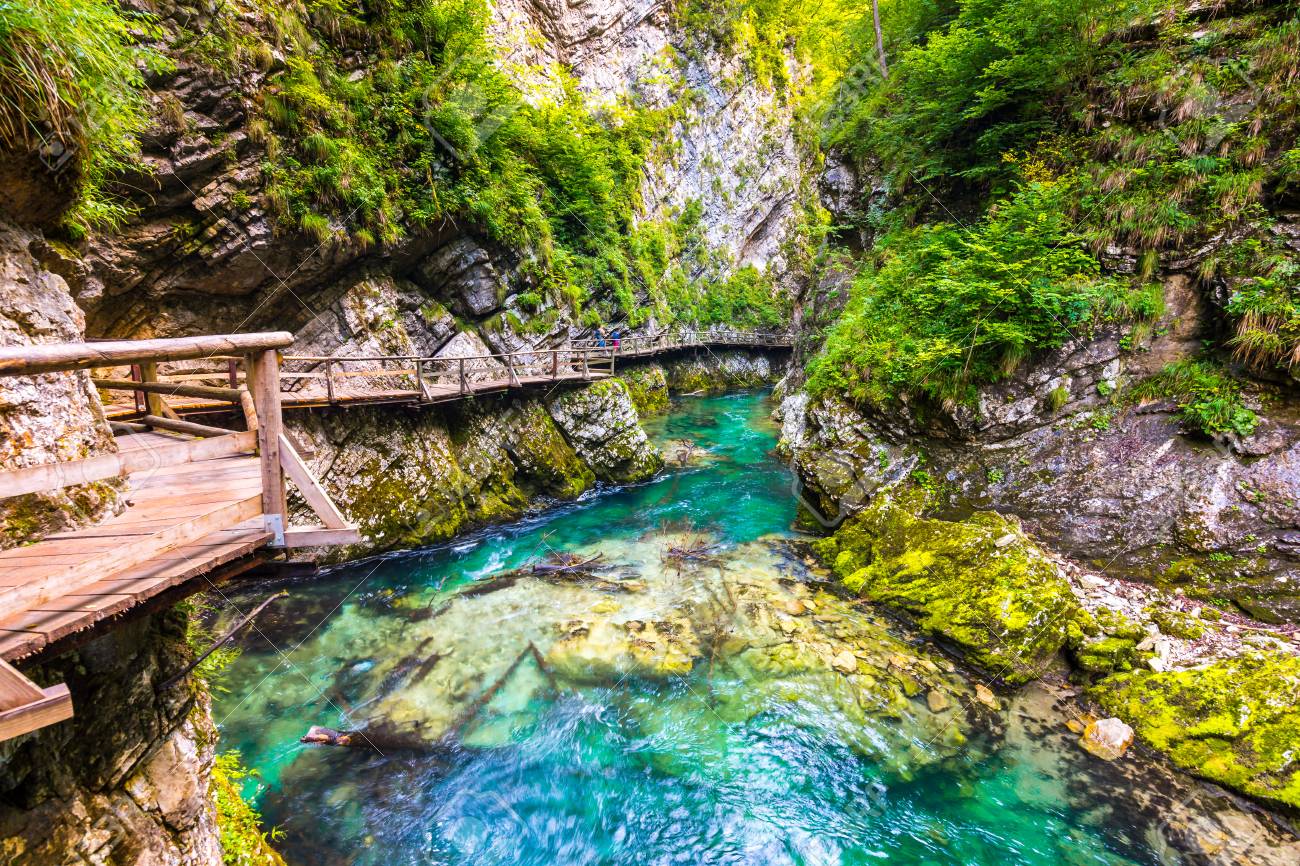 Vintgar gorge, Slovenia. The Radovna river with wooden paths and bridge above. Beautiful water river in Triglav national park. Waterfall, forest and fresh nature vegetaion. Tourist paths and hiking.