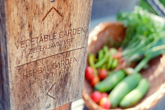 Restavracija6-78924fc2