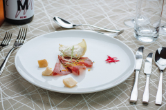 HOTEL-REAKTIV-SLOVENIJA-TERME-10