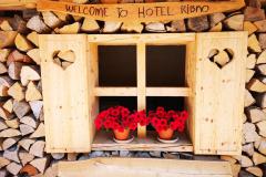 HOTEL-RIBNO-BLED-26