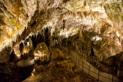 Postojna_Cave_14